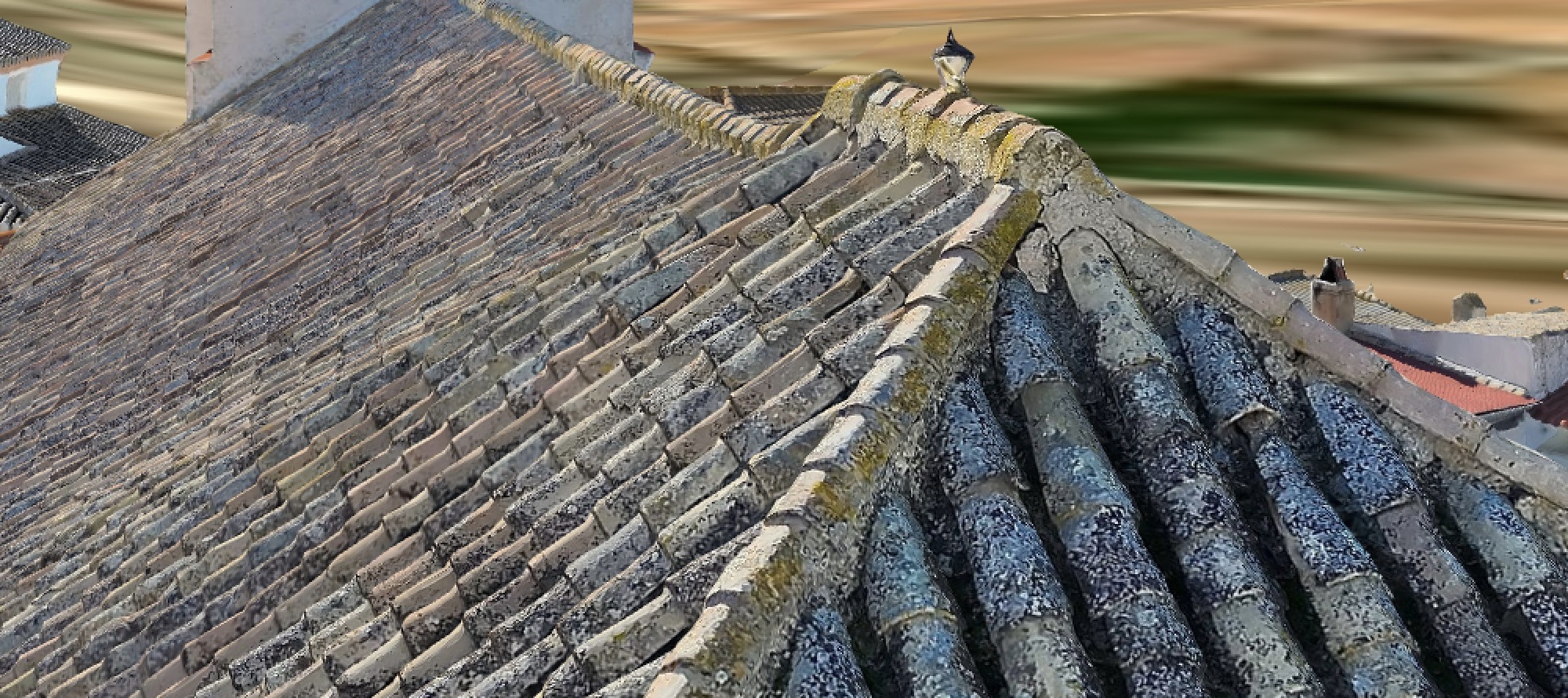 Captura de una reconstrucción 3D real de una cubierta de teja